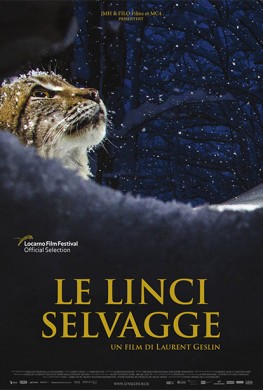 Le linci selvagge (2024)